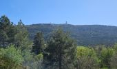 Trail Walking Plan-d'Aups-Sainte-Baume - Plan d'Aups-Sainte Baume - Photo 2