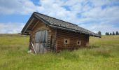 Randonnée Marche Lüsen - Luson - Lüsner Alm - Rastnerhütte - Photo 2