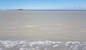 Tour Wandern Le Mont-Saint-Michel - Le Mont St Michel,  Herbus, Sables, et Barrage de La Caserne. - Photo 6