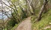 Trail Walking Voreppe - Aiguille de Chalais - Photo 12