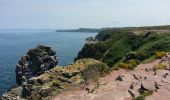 Tour Wandern Plévenon - Cap Fréhel - 2017 06 22 - Photo 9