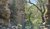 Trail Walking Signes - Plateau d'Agnis en partant de La Marseillaise - Photo 10