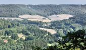 Tour Zu Fuß Befort - BH Herkules-Kapp Hiking Tour - Photo 10