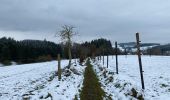 Tour Wandern Hohenfels - Houffalize 24 Km - Photo 6