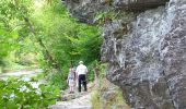 Tour Wandern Hohenfels - GrWandARd 36: Grande-Mormont het fraaiste van de Oostelijke Ourthe - Photo 4