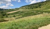 Trail Walking Cerdon - Cedron  - Photo 12