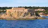 Randonnée Marche Hyères - Ile de Porquerolles - Photo 3