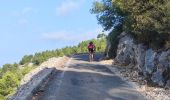 Trail Electric bike Toulon - VTT-AE FARON - Photo 8