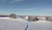 Randonnée Raquettes à neige Haut Valromey - raquettes chapelle5km6 - Photo 7