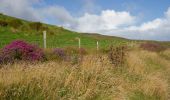 Trail On foot Inishowen Municipal District - Inishowen Head Walk - Photo 2