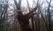 Tocht Stappen Besançon - Forêt de CHAILLUZ Fort de la Dame Blanche - Photo 3