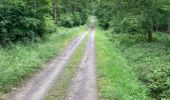 Trail Horseback riding Saint-Martin - Tivio domevre  - Photo 1