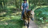 Tocht Paardrijden Badonviller - Grand chêne vierge clarisse  - Photo 5