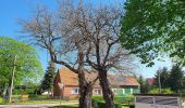 Tocht Te voet Märkische Heide - Wanderweg Barbassee-Briesener See-Caminchen-Klein Leine- Klein Leiner See - Photo 4