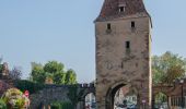 Tour Zu Fuß Bischofsheim im Elsass - Circuit des Balcons - Photo 1