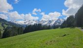 Tocht Mountainbike Le Grand-Bornand - Tour du Danay - Photo 9