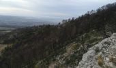 Trail Walking La Roque-Alric - Rochers des Évêques  - Photo 4