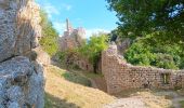 Trail Walking Saint-Péray - balcon et chÃ¢teau de Crussol, aller via versant RhÃ´ne et Vercors / retour via versant Ardeche - Photo 10