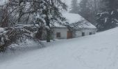 Tour Schneeschuhwandern Gerdsee - Gerardmer raquettes 5 - Photo 8