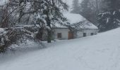 Trail Snowshoes Gérardmer - Gerardmer raquettes 5 - Photo 8