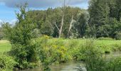 Trail Walking Huldenberg - Huldenberg Terlanen site naturel Lasne - Photo 12