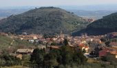 Tocht Te voet Vicopisano - Vicopisano - Campo dei Lupi - Mandrie - Col di Cincia - Buti - Photo 1