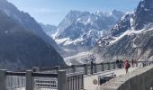 Tocht Stappen Chamonix-Mont-Blanc - CHAMONIX ... depuis le Montenvers.  - Photo 5