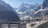 Trail Walking Chamonix-Mont-Blanc - CHAMONIX ... depuis le Montenvers.  - Photo 5