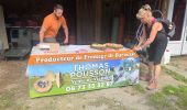 Tour Wandern Mauléon-Barousse - Mauleon bar rousse - Photo 11