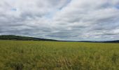 Trail Bicycle tourism Vaulx-Milieu - Vaulx-Milieu - Hauterives - Photo 2