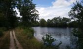 Tour Wandern Azay-sur-Cher - Azay-sur-Cher - le Grais - 13.1km 100m 2h55 - 2023 07 12 - Photo 1