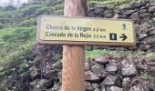 Trail Walking Tolox - Charco de la virgen  - Photo 13