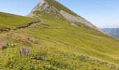 Trail Walking Saint-Jacques-des-Blats - Puy Griou depuis le Col de Font de Cère - Photo 4