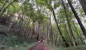 Tocht Stappen Plateau-des-Petites-Roches - Cascade du Douix - Photo 7