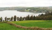 Trail On foot West Cork - Walk 1 - Drombeg Standing Stone Circle (7 - 9 km) - Photo 9