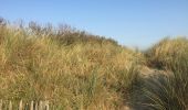 Trail Walking Blankenberge - 85.515 Blankenberge - Zeebrugge via Zeebos - Photo 8