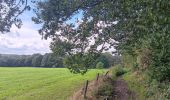 Trail Walking Sprimont - autour de dolembreux  - Photo 10