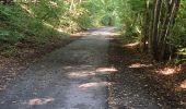 Tour Wandern Gisors - Gisors voie verte jusqu'à Beausséré - Photo 2