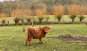 Randonnée Marche Namur - Lives sur Meuse 21,7 km - Photo 5