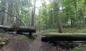 Tour Wandern Watermael-Boitsfort - Watermaal-Bosvoorde - 2020.09.30.P - Photo 4