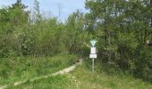 Tour Zu Fuß Bad Staffelstein - Keltenweg D - Photo 4