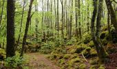 Tocht Stappen Saint-Pierre-le-Chastel - St Pierre le Chatel Tournebise - Photo 1