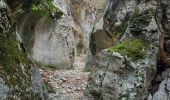 Trail Walking Lioux - Combes de Vaumale et Lioux  - Photo 18