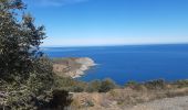 Percorso Marcia Banyuls-sur-Mer - banyuls . coll de gran bau . retour par le littoral  - Photo 12