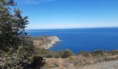 Tocht Stappen Banyuls-sur-Mer - banyuls . coll de gran bau . retour par le littoral  - Photo 12