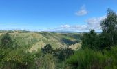 Excursión Senderismo Chauchailles - Gorges du Bèz sentier des espagnols - Photo 16