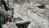 Tour Wandern Vallouise-Pelvoux - Le Glacier Blanc - Pré Madame Carle - Photo 3
