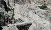 Excursión Senderismo Vallouise-Pelvoux - Le Glacier Blanc - Pré Madame Carle - Photo 3