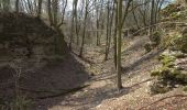 Tocht Te voet Pilsach - Kreuz- und Felsenweg - Photo 3