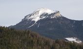 Tocht Stappen Proveysieux - Aiguille de Quaix - Photo 6